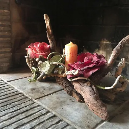 Maisonmaremonti كاستيلنوفو ماغرا